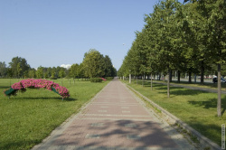 аллея вдоль Пискарёвского проспекта