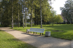 лавочка на аллее в центре сада