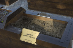 вырванные растения в Саду ощущений