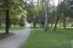 центральная аллея