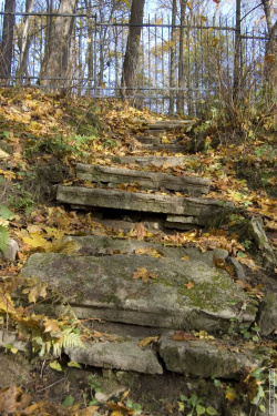 лестница от Большого дворца к пруду Звезда