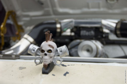 mascot - original meet