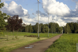 аллея вдоль проспекта Металлистов