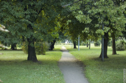 аллея к памятнику - солнце