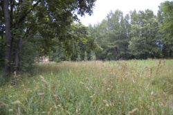 луг недалеко от водонапорной башни