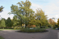 круглая клумба в центре, с лавочками