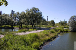 дорожка на остров в центра парка Авиаторов