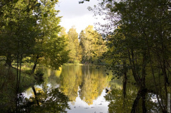 левый рукав Рубахи Наполеона