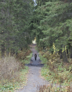 Аллея Адольфа Полье