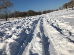 как "лыжи видят" Муринский парк зимой