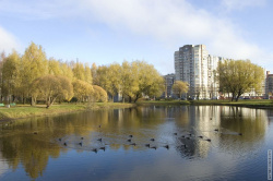 озеро вдоль Тихорецкого проспекта