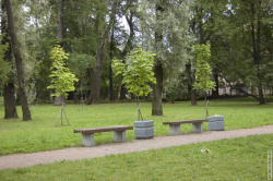 лавочки в Пионерском саду