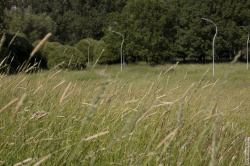 травянистая лужайка у холма