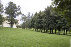 Аллея уходящая к Кантемировской улице