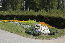клумба в центре