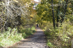 аллея от прудов на восток парка