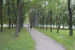 аллея вдоль проспекта Металлистов