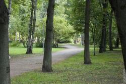 аллея в саду Серебряный пруд