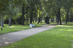 аллея вдоль проспекта Энгельса