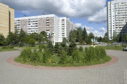 клумба - окружность