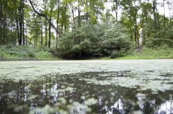 вырытое озеро