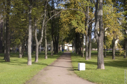 аллея сада Матросова