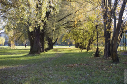 Аллея напротив Ресторана Ферма Бенуа