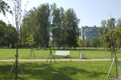 одинокая лавочка