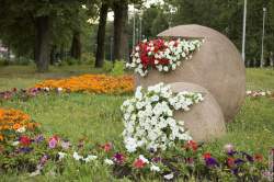 клумба на углу ул. Маршала Тухачевского и ш.Революции