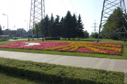 клумба под ЛЭП