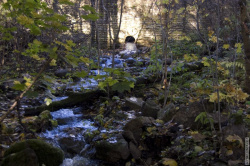 ручей их Рубахи Наполеона в реку Старожиловку
