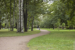 дорожка среди зелени