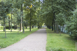 аллея по правой стороне сквера