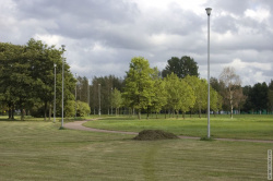 дорожка в центре Полюстровского парка