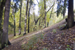 Западный склон холма