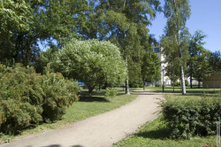 аллея Шкиперского сада