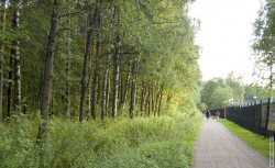 дорожка между парком и спорт-комлпесом Зенит