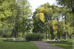 клумба Литовского сада