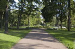 аллея Литовского сада