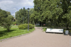 лавочка под дубом в глубине сквера