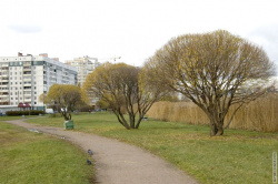 дорожка вокруг Мартыновского пруда