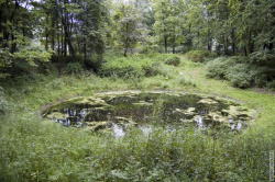 озеро в воронке от снаряда