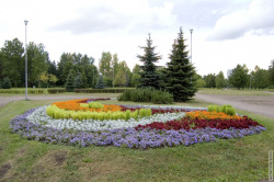 клумба на Апрельской улице