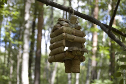 скворечник из винных пробок