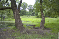 иорданский пруд