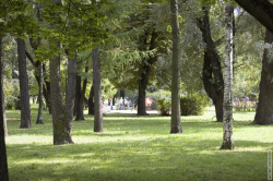 газоны в Багратионовском сквере