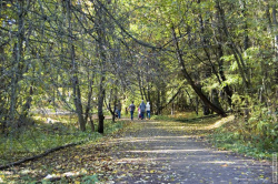 прогулка по Шуваловскому парку