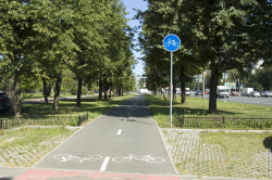 велодорожка по Пискарёвскому проспекту