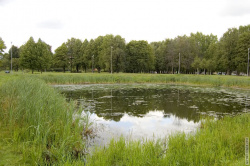 квадратный пруд