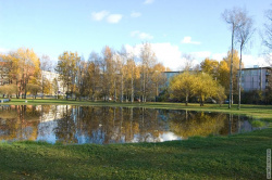 круглое озеро вдоль проспекта Науки